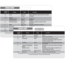 Load image into Gallery viewer, Cranial Nerve Chart Reference Horizontal Badge Card