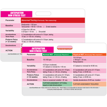 Load image into Gallery viewer, Antepartum Non-Stress Test Reference Horizontal Badge Card
