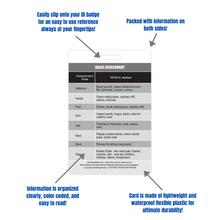 Load image into Gallery viewer, Basic Patient Assessment Reference Vertical Badge Card