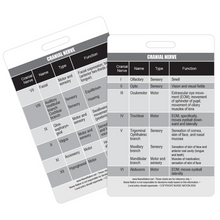 Load image into Gallery viewer, Cranial Nerve Chart Reference Vertical Badge Card