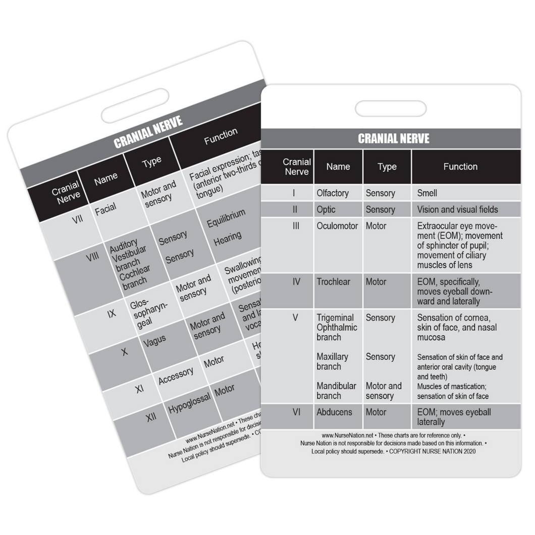 Cranial Nerve Chart Reference Vertical Badge Card
